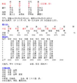 丁亥日庚子时八字命例，遇庚子年如何为？