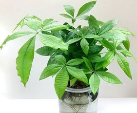 一、 研究背景与理论框架