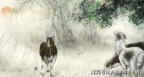 恣肆无忌对应哪个生肖？这生肖尾巴特长是哪位？