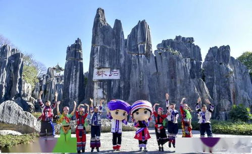 交通防坑指南！别被司机当猪宰！