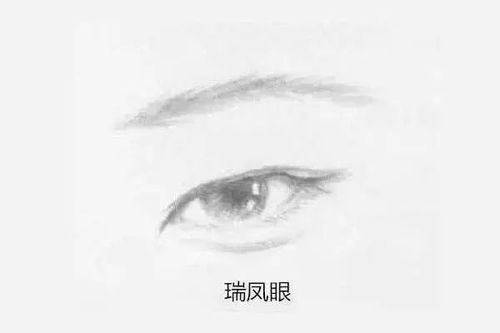 5. 眼睛有点向外凸的人