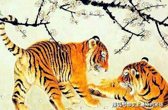 属虎人今日财运状况如何，具体表现有哪些？