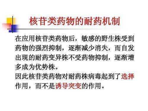 “恩”：温暖人心， 传递爱与感恩