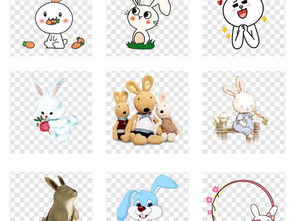 国庆节对应的动物生肖是什么？