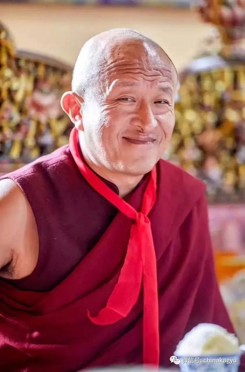 关于转世再生与心识连续性的国学哲学辨析