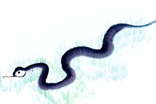 属蛇人分手时有多狠心？属蛇男彻底分手的感觉是怎样的？