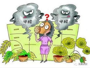 其他有效除醛手段