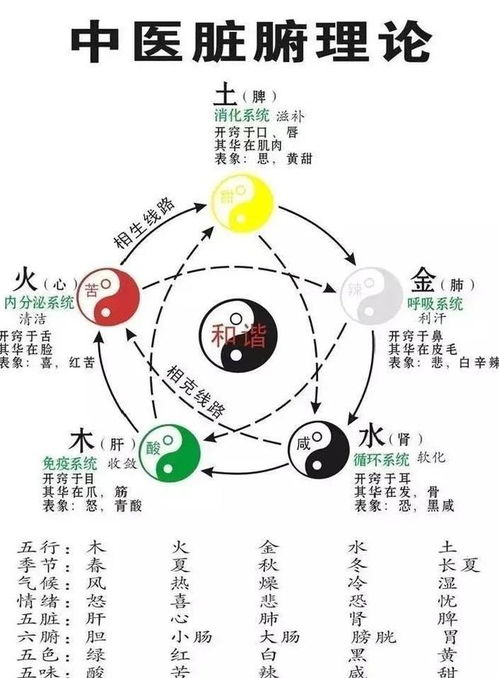 薛立斋医案中，如何运用五行相生原理调理患者体质而非单纯治病？