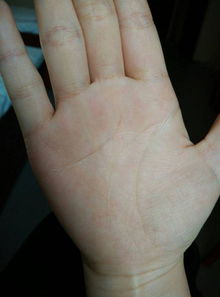 手相评价词汇有哪些？如何看手相？