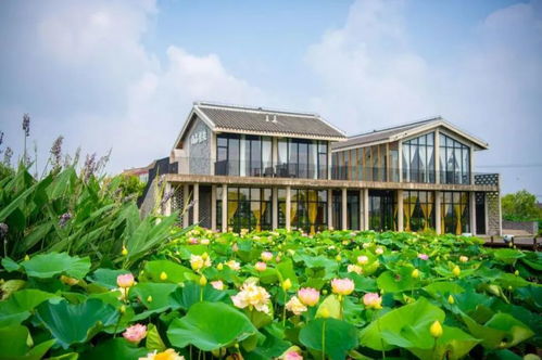 菜市场附近房子风水如何？宣威公园旁住宅风水适宜吗？