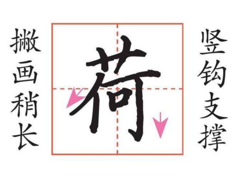 带荷字的名字较大全