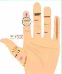 三、 三豹纹——丰盈资源条件的隐喻