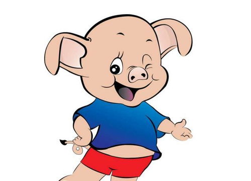 2026年属猪运势及整体运程分析具体包括哪些方面？