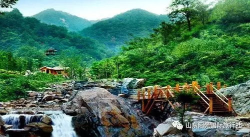 2026年最新坑爹价格表