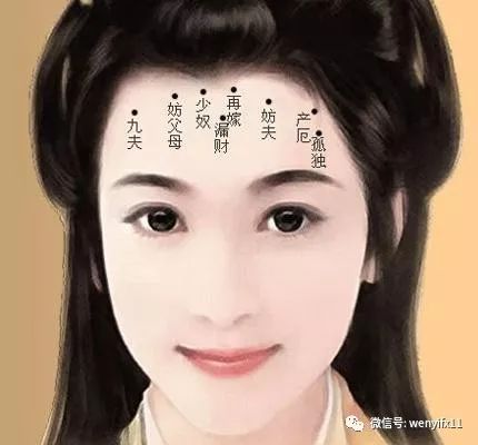 三、 额头较宽广、发际线较低平之智慧标志