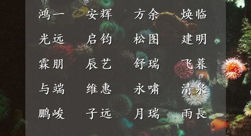 高姓男孩名字推荐一 (感觉有点像批发市场)