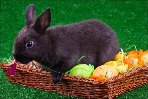 详细吉日表格——堪仔细了别眨眼