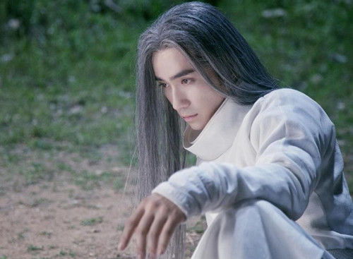 属鼠：吱吱叫的小可爱们