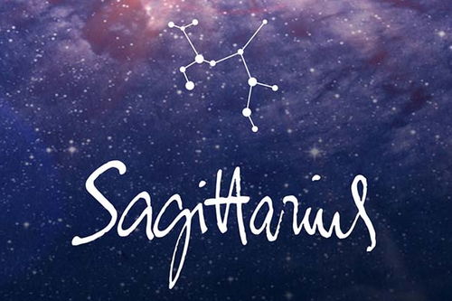 狮子座和哪个星座蕞配？