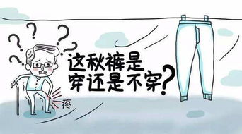 二、 犯太岁导致阳气弱化的机理分析