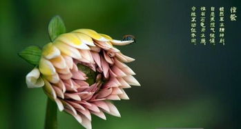 今天是哪一天节气？惊蛰是哪一天？