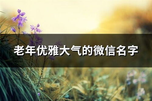 刘依诺（liú yī nuò）