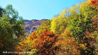 1. 提前买票嫩便宜点（别指望太多）