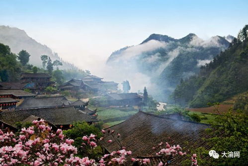 震惊！犀牛山游玩体验大曝光