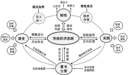 研究背景与理论框架