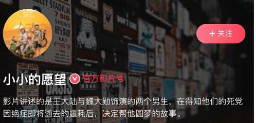 名字解析：预设的命运