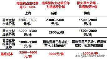 ：时空维度下的工程决策与成本控制