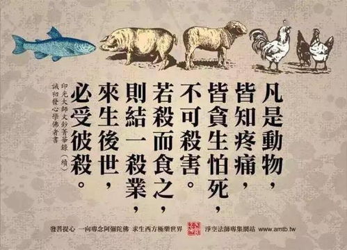 背景和场景