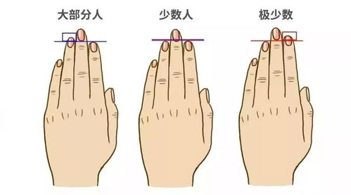 较小手指较长度与交简单本领的关系