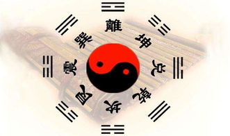 男命子女宫若透官星，子女运势会有哪些吉兆？