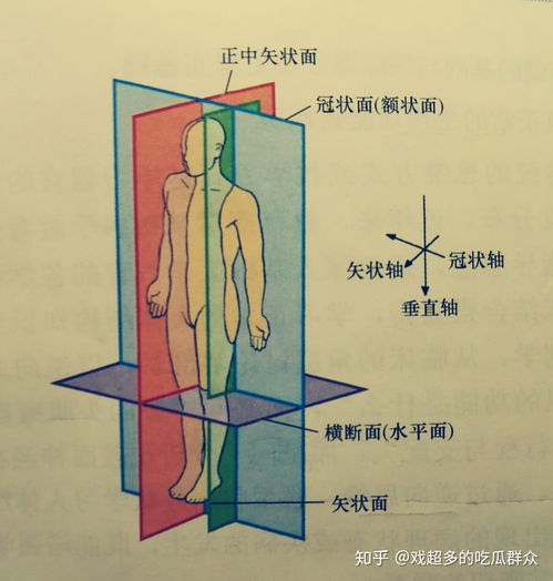 四、 人际特质与心理状态画像（需注意调和）