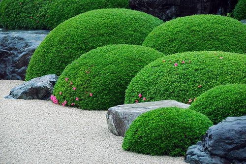 板岩：精致细腻的点缀之选