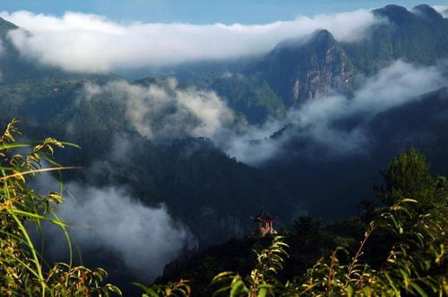 2026年天气瞎预测！！！仅供参考！！！