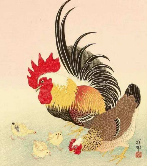 2026年属鸡的三大喜事和礼物寓意分别是什么？