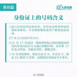 ：庚午金马与癸卯流年的玄学关联