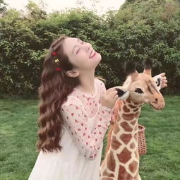 第二节：生肖牛的稳重与执着