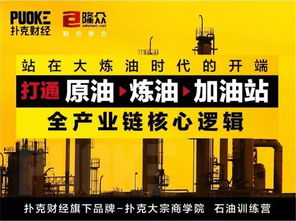 5. 专注力的深度聚焦与核心竞争力的打磨