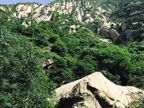 真的是服了！西安白华林到底在哪里啊？一份让人头秃的旅游攻略