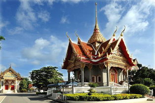 #美食拍摄技巧# （不靠谱但超好玩）