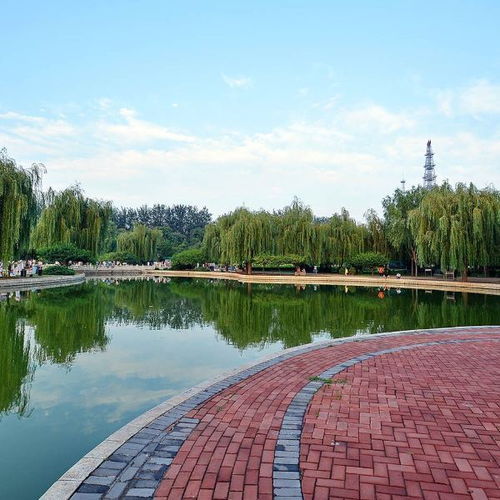 顺义公园旅游攻略：一场说走就走的…噩梦