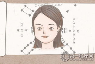 2. 鼻子挺拔与审美及健康的双重意义