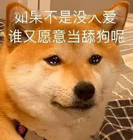 三、 属虎者：王者气质与尊严意识的双沉重驱动