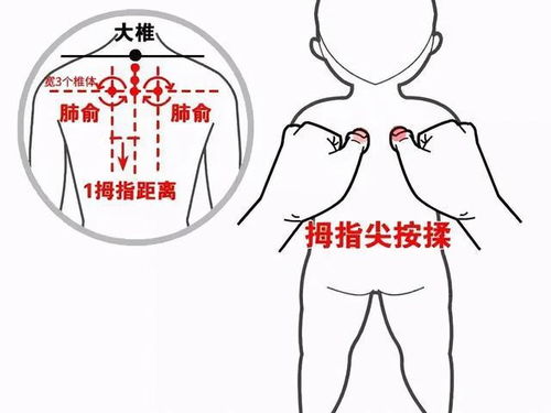 四、 不同形状肺孔对应的人格特质与理财倾向