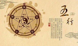 一、 面相学之历史渊源与理论根基