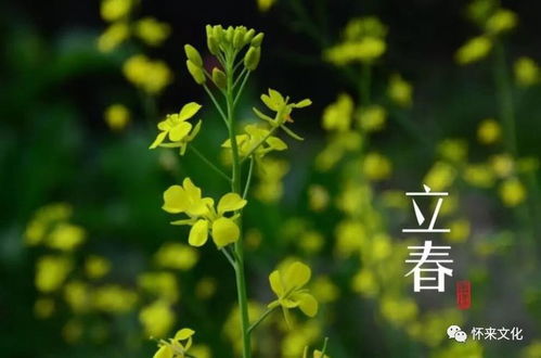 一、 立春时节的风水学基础与订盟宜忌