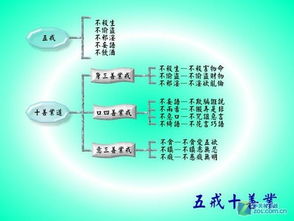 佛教戒律体系：从五戒十善到专业僧团规范